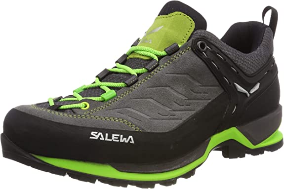 Zapatillas de trail running Salewa Mtn Trainer GTX